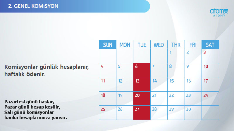 Atomy Genel Komisyon Şeması